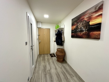 Prodej bytu 2+kk v osobním vlastnictví 51 m², Praha 3 - Žižkov