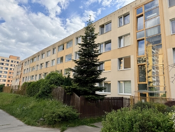 Prodej bytu 2+kk v osobním vlastnictví 51 m², Praha 3 - Žižkov