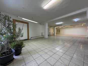 Pronájem obchodních prostor 355 m², Velká Bystřice