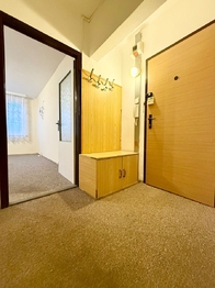 Pronájem bytu 1+kk v družstevním vlastnictví 33 m², Teplice