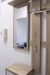 Pronájem bytu 1+1 v osobním vlastnictví 38 m², Ostrava