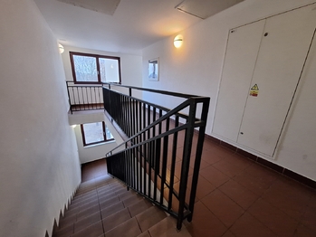 Pronájem bytu 2+kk v družstevním vlastnictví 46 m², Hostivice