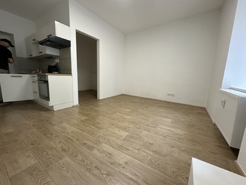 Pokoj a vstup do ložnice - Pronájem bytu 1+kk v osobním vlastnictví 45 m², Brno