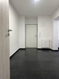 Pronájem bytu 1+kk v osobním vlastnictví 45 m², Brno