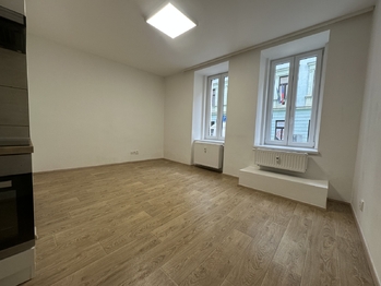 Pronájem bytu 1+kk v osobním vlastnictví 45 m², Brno
