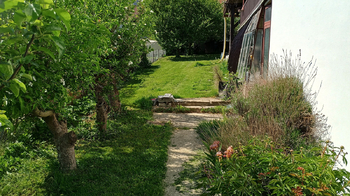 zahrada - Prodej domu 206 m², Hrdějovice