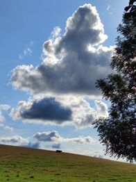 Prodej pozemku 1169 m², Malá Morava