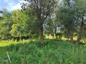 Prodej pozemku 1169 m², Malá Morava