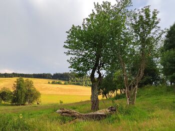 Prodej pozemku 1169 m², Malá Morava