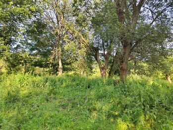 Prodej pozemku 1169 m², Malá Morava