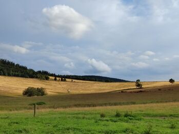 Prodej pozemku 1169 m², Malá Morava