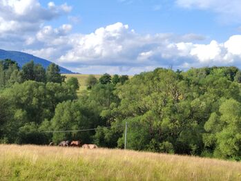 Prodej pozemku 1169 m², Malá Morava