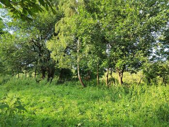 Prodej pozemku 1169 m², Malá Morava