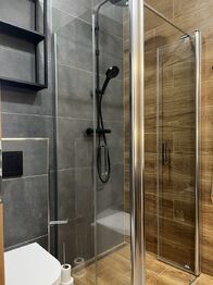 Pronájem bytu 2+kk v osobním vlastnictví 46 m², Plzeň