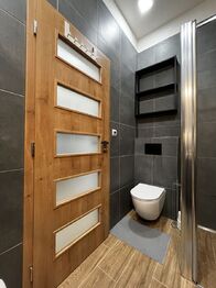 Pronájem bytu 2+kk v osobním vlastnictví 46 m², Plzeň