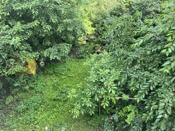 Pronájem bytu 2+kk v osobním vlastnictví 46 m², Plzeň