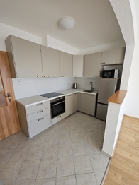 Pronájem bytu 1+kk v osobním vlastnictví 597 m², Chýně