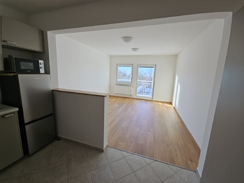 Pronájem bytu 1+kk v osobním vlastnictví 597 m², Chýně