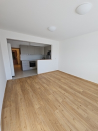 Pronájem bytu 1+kk v osobním vlastnictví 597 m², Chýně