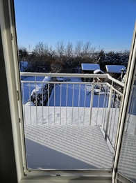 Pronájem bytu 1+kk v osobním vlastnictví 597 m², Chýně