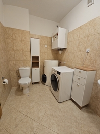 Pronájem bytu 1+kk v osobním vlastnictví 597 m², Chýně