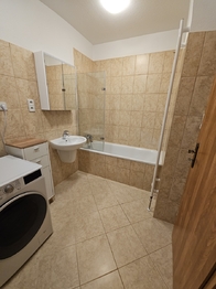 Pronájem bytu 1+kk v osobním vlastnictví 597 m², Chýně