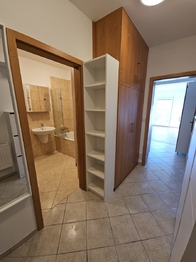 Pronájem bytu 1+kk v osobním vlastnictví 597 m², Chýně