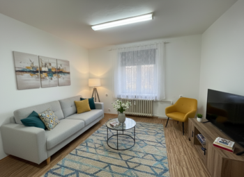 Prodej bytu 1+1 v osobním vlastnictví 29 m², Ostrava