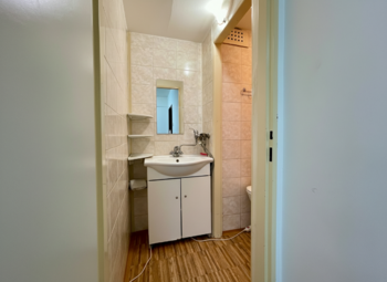 Prodej bytu 1+1 v osobním vlastnictví 29 m², Ostrava