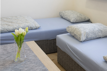 Pronájem bytu 1+1 v osobním vlastnictví 31 m², Ostrava