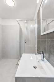 Pronájem bytu 1+1 v osobním vlastnictví 41 m², Praha 3 - Žižkov