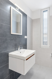 Pronájem bytu 1+1 v osobním vlastnictví 41 m², Praha 3 - Žižkov