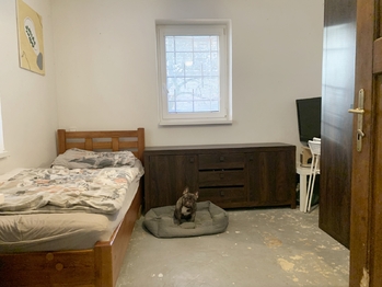 pokoj v přízemí - Prodej chaty / chalupy 87 m², Velká Buková