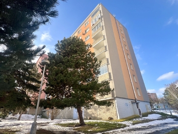 Prodej bytu 1+1 v osobním vlastnictví 35 m², Chomutov