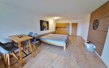 Prodej bytu 1+kk v osobním vlastnictví 38 m², Strážný