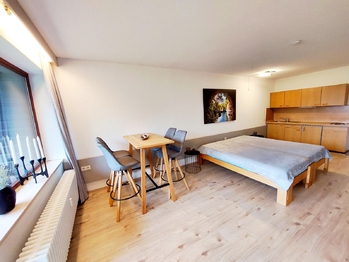 Prodej bytu 1+kk v osobním vlastnictví 38 m², Strážný