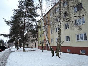 Pronájem bytu 2+1 v osobním vlastnictví 49 m², Kladno