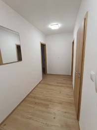 Pronájem bytu 3+kk v osobním vlastnictví 57 m², Praha 10 - Vršovice
