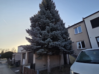 Prodej domu 150 m², Pardubice