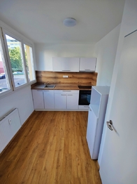 Pronájem bytu 2+1 v osobním vlastnictví 55 m², Mladá Boleslav