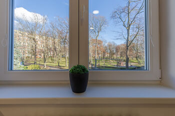 Pronájem bytu 2+1 v osobním vlastnictví 58 m², Litvínov