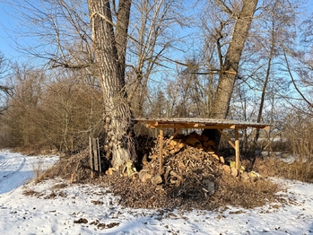 přístřešek na dřevo - Prodej chaty / chalupy 12 m², Moravany