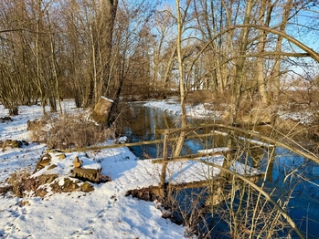 lesní pozemek je hned u řeky Loučné - Prodej chaty / chalupy 12 m², Moravany