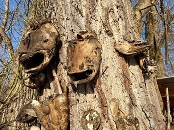 trofejní strom - Prodej chaty / chalupy 12 m², Moravany