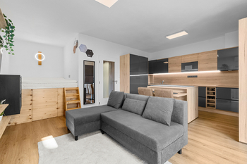 Pronájem bytu 1+kk v osobním vlastnictví 104 m², Plzeň