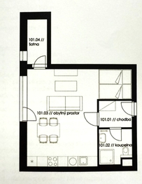Pronájem bytu 1+kk v osobním vlastnictví 104 m², Plzeň