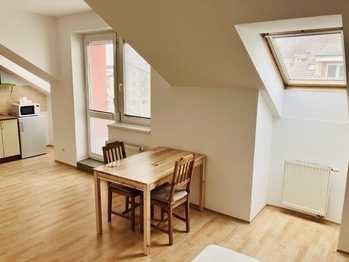 Pronájem bytu 1+kk v družstevním vlastnictví 37 m², České Budějovice