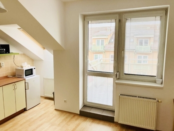 Pronájem bytu 1+kk v družstevním vlastnictví 37 m², České Budějovice