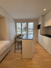 Pronájem bytu 1+kk v osobním vlastnictví 23 m², Ostrava