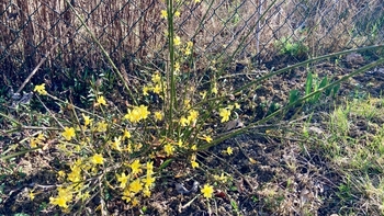 Prodej chaty / chalupy 15 m², Vnorovy